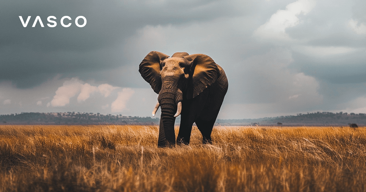 Un elefant călătorind prin ținutul african.