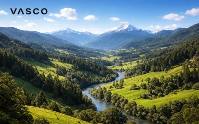 Limbile Pământului de Mijloc: sindarina, khuzdul și westron