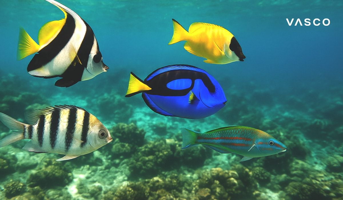 Pești tropicali colorați, inclusiv un Blue Tang și un Moorish Idol, înotând în apa limpede a oceanului deasupra unui recif de corali.