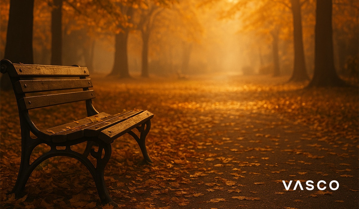 bancă într-un parc toamna, înconjurată de frunze aurii, în lumina blândă a dimineții